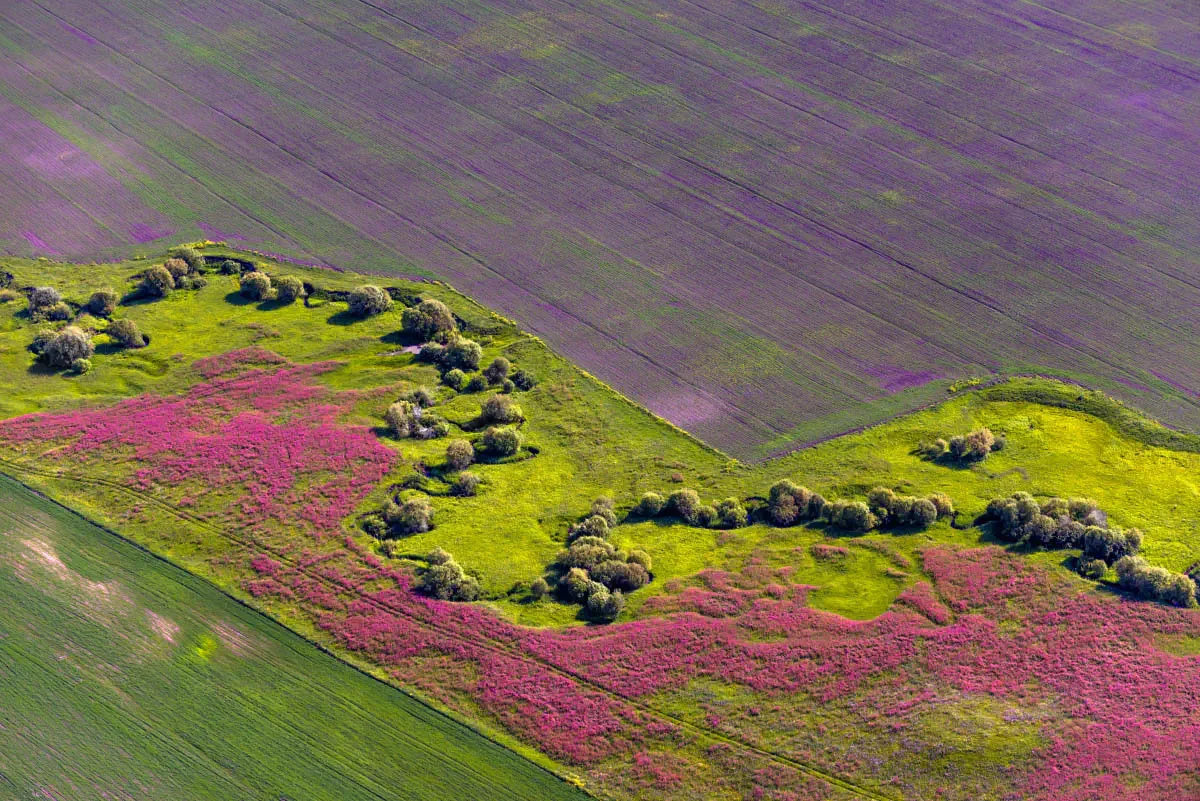 Dzungarian Alatau (Zhetysu Alatau). South-East Kazakhstan