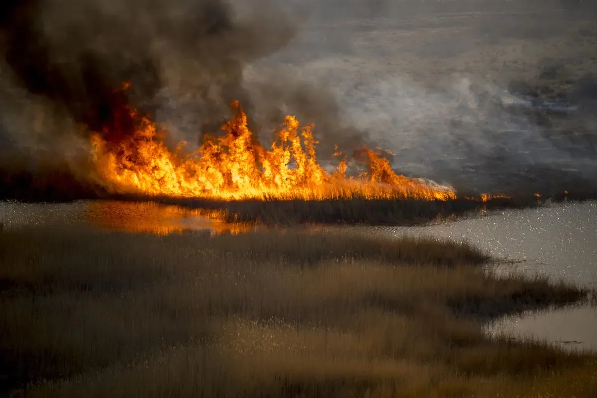 Fire on the Ili River (сhinese: 伊犁河)