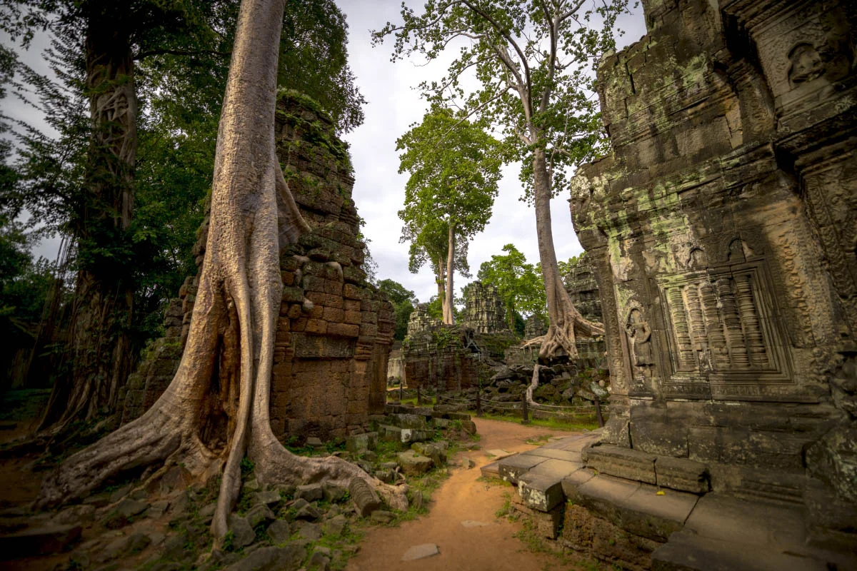 Ta Prohm, Cambodia
