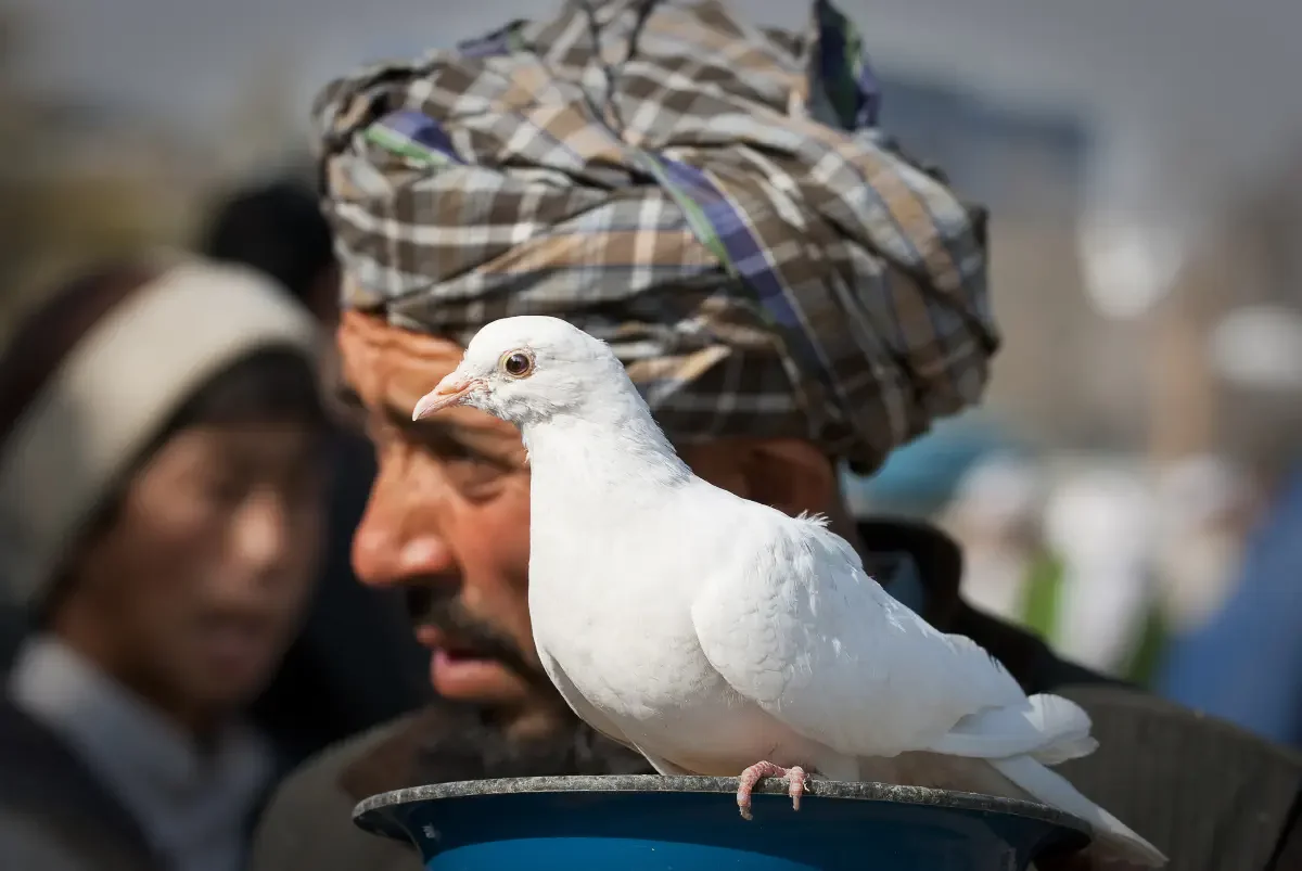 Mosque of Hazrat Ali. Mazar-i-Sharif, Afghanistan