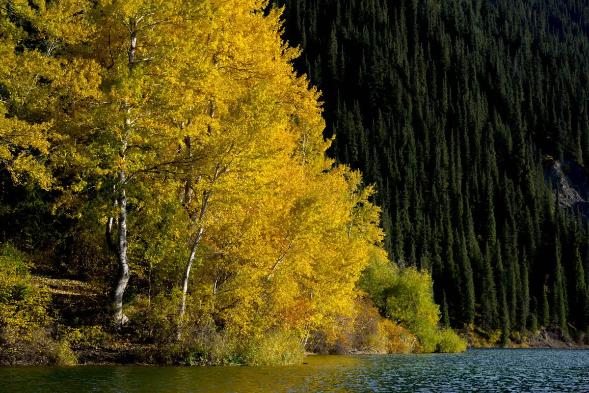 Kolsai Lakes National Park. Northern Tien Shan