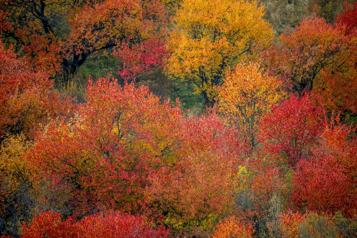Autumn in the Northern Tien Shan