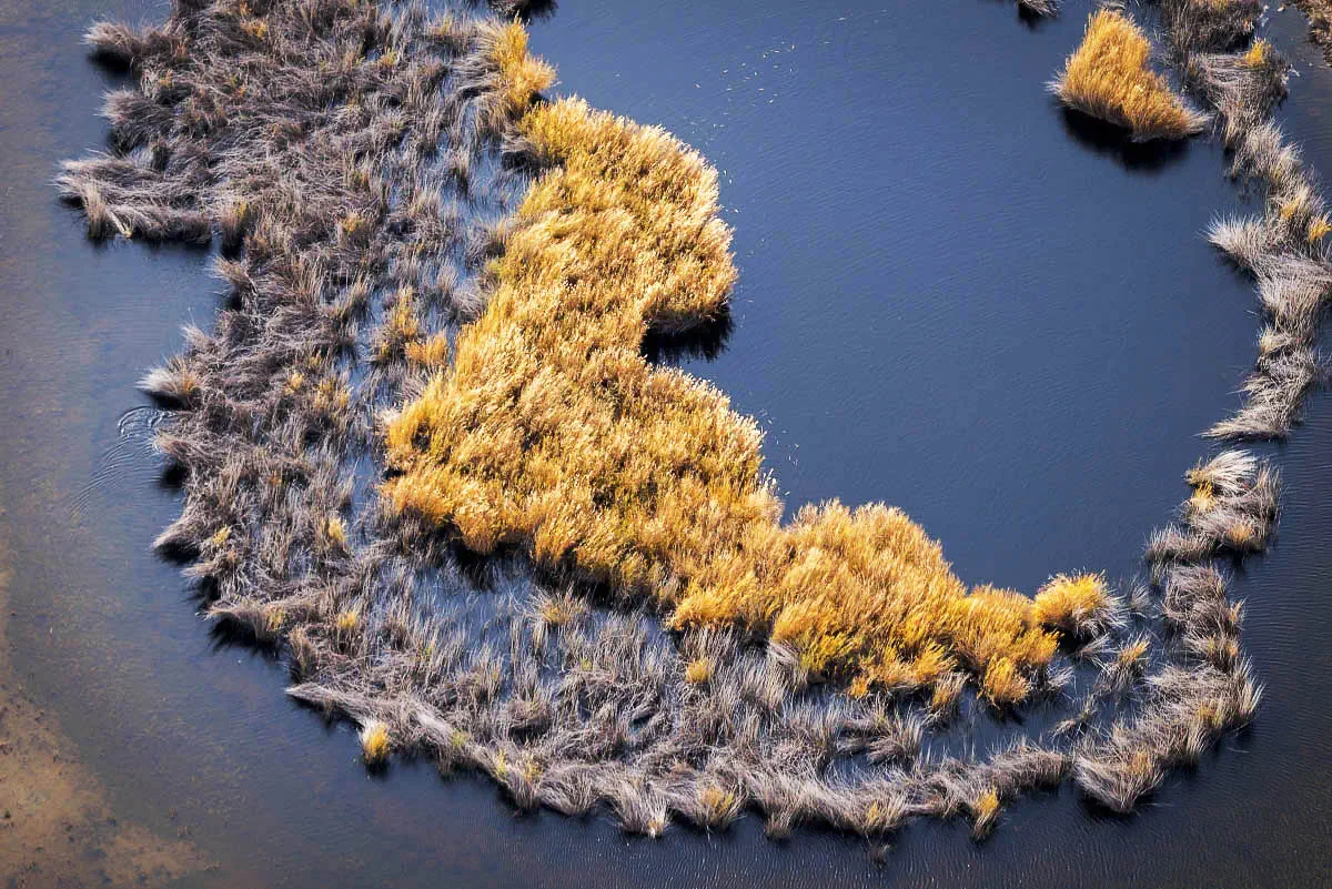 Southern coast of Balkhash lake