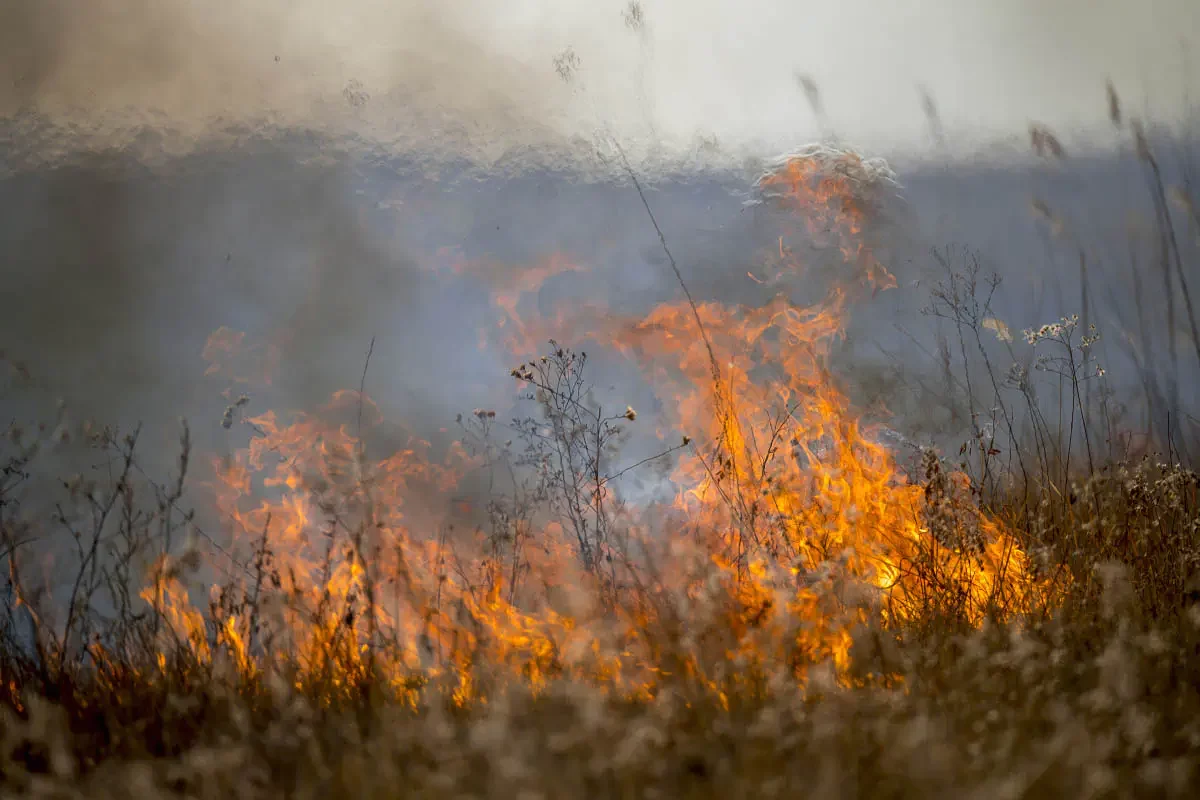 Fires in Moyinkum, Zhambyl region, Kazakhstan