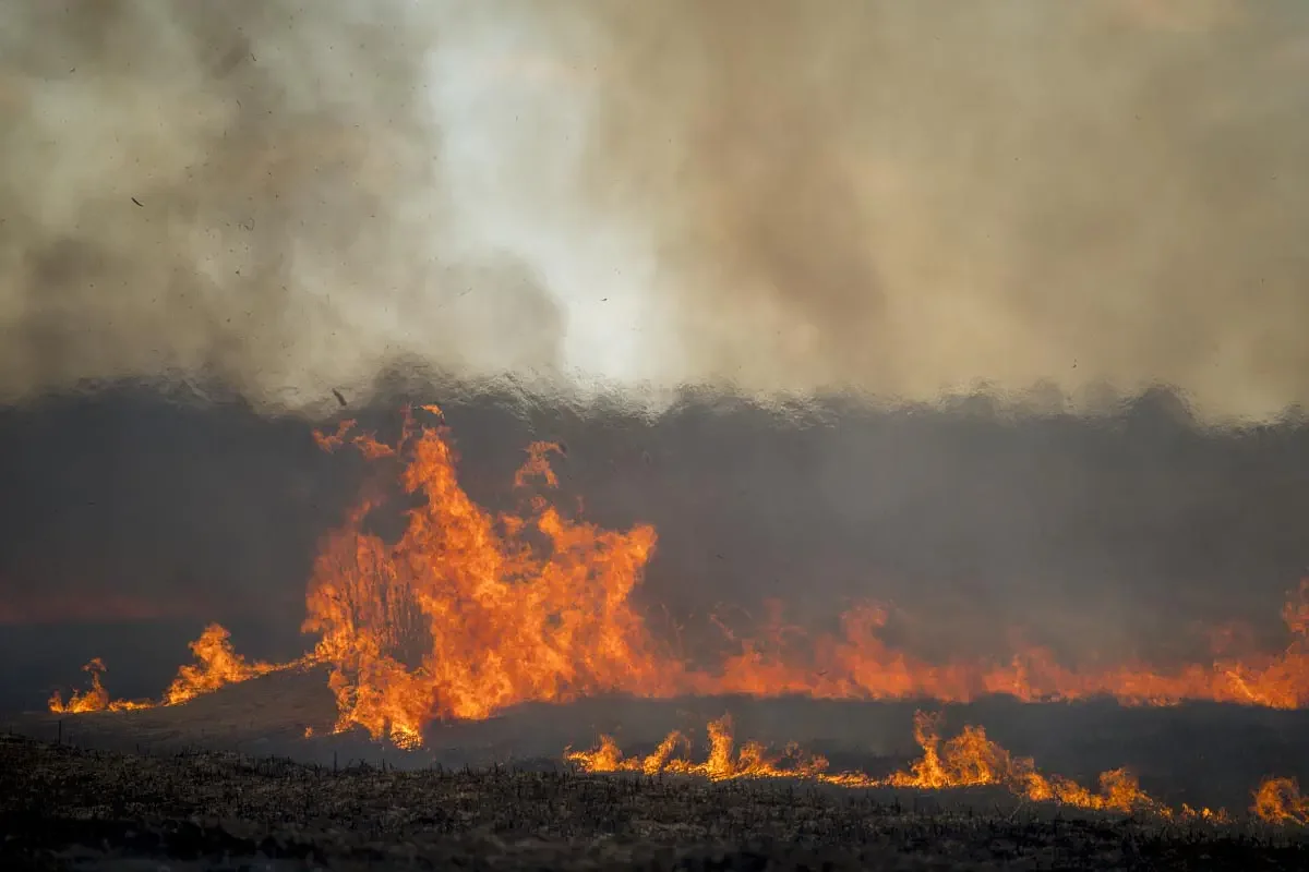 Fire on the Ili River (сhinese: 伊犁河)
