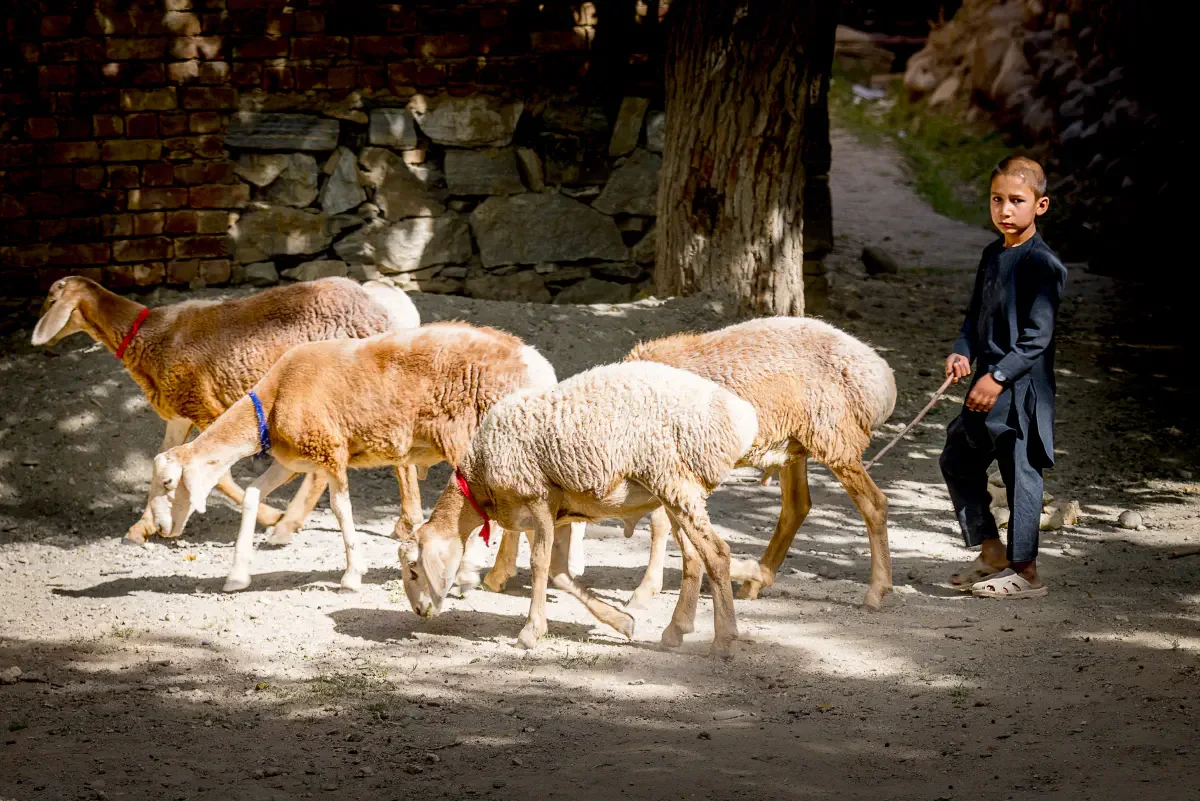 Guzar village, Kabul district, Afghanistan
