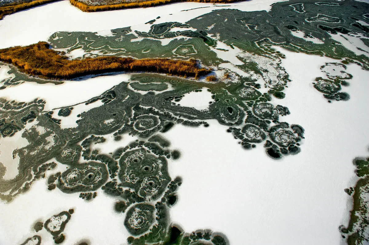Ili river delta (сhinese: 伊犁河). South-East Kazakhstan