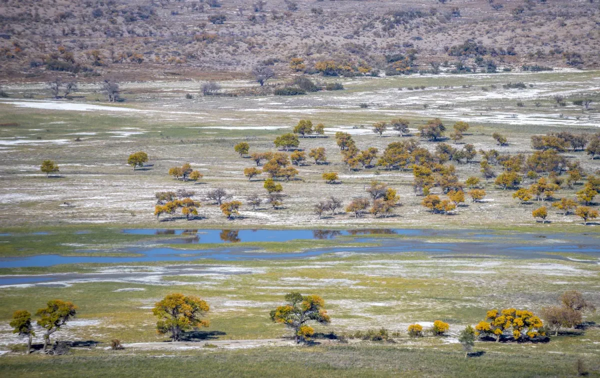 Ili river delta (сhinese: 伊犁河). South-East Kazakhstan