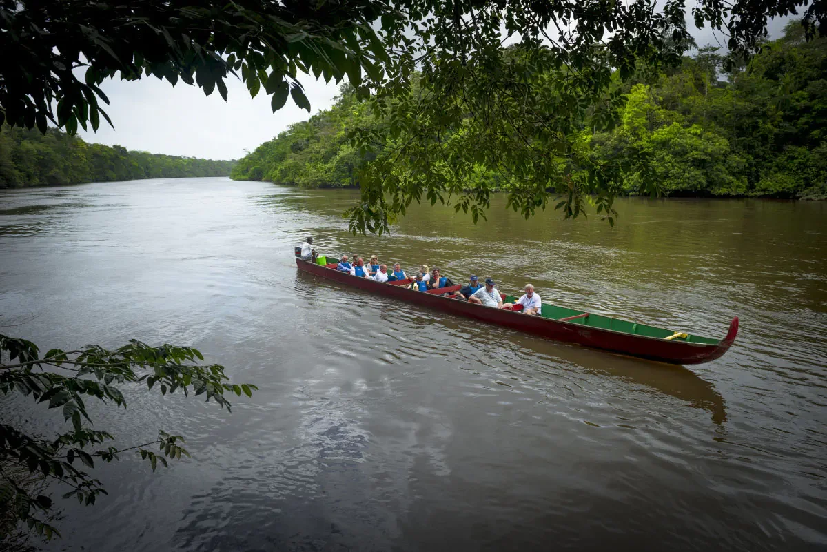 Kourou river, French Guiana