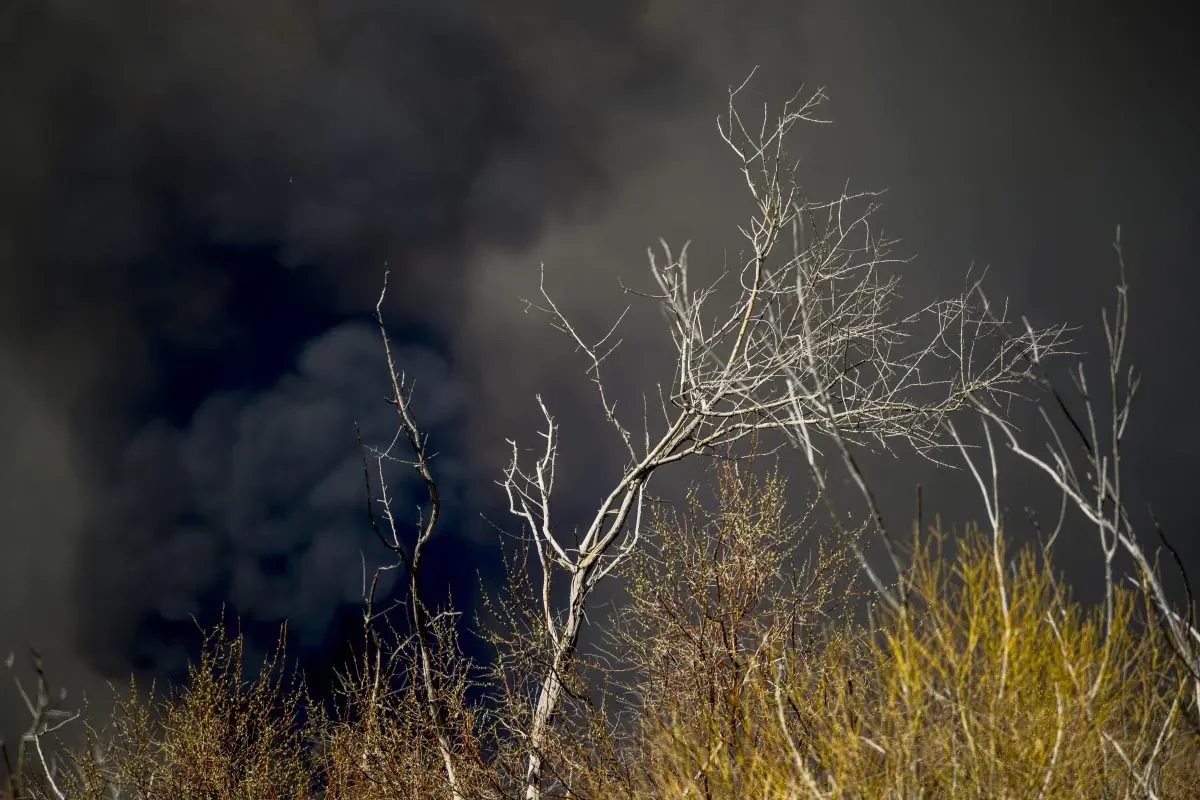 Fire on the Ili River (сhinese: 伊犁河)