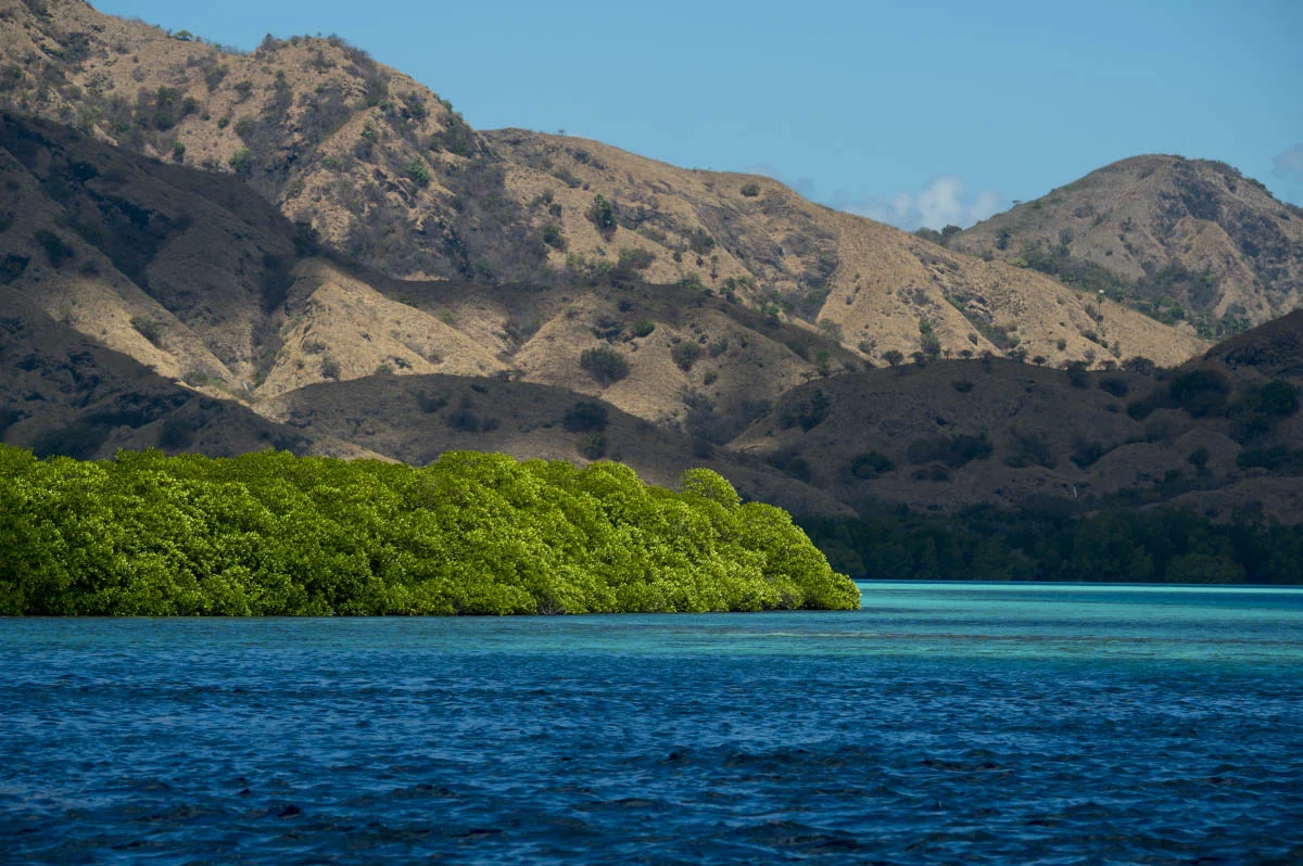 Komodo National Park, Indonesia