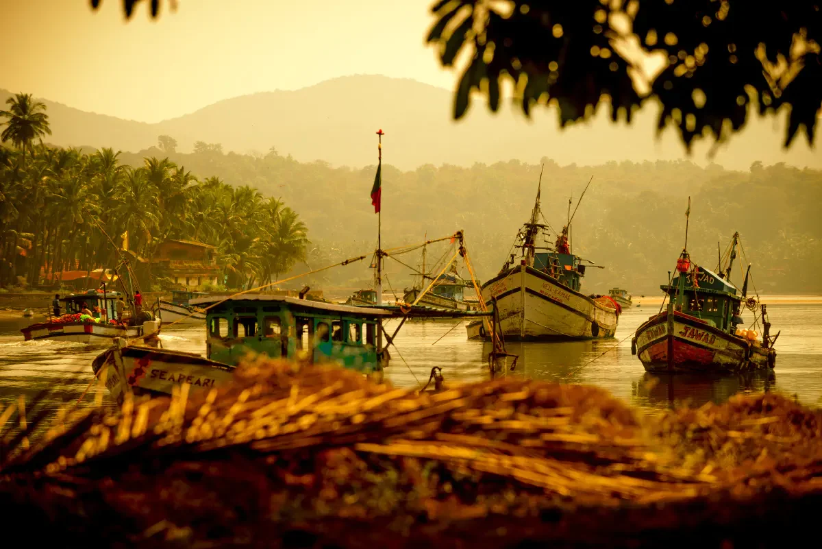Sal River. South Goa, India