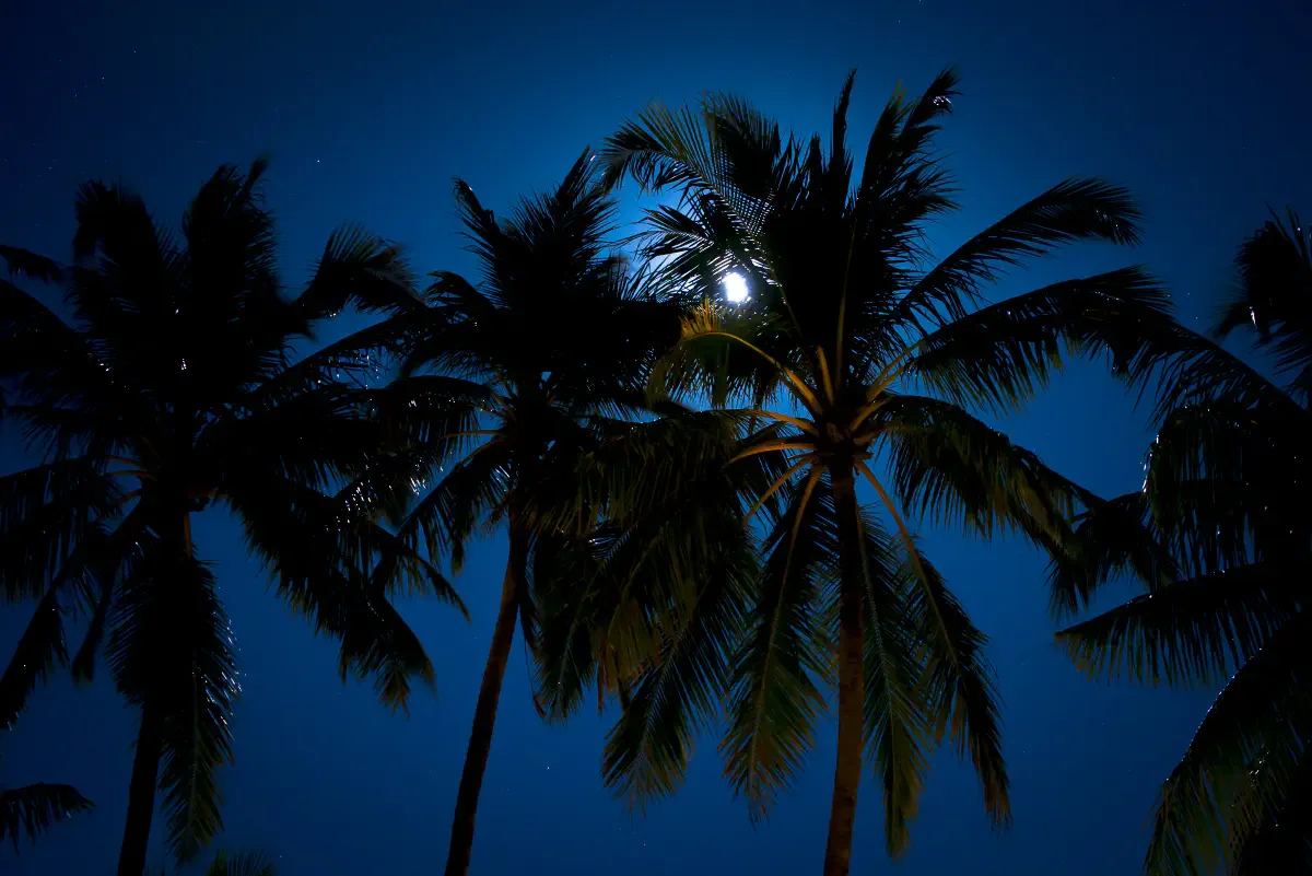 Moonlight night in Ngapali‎