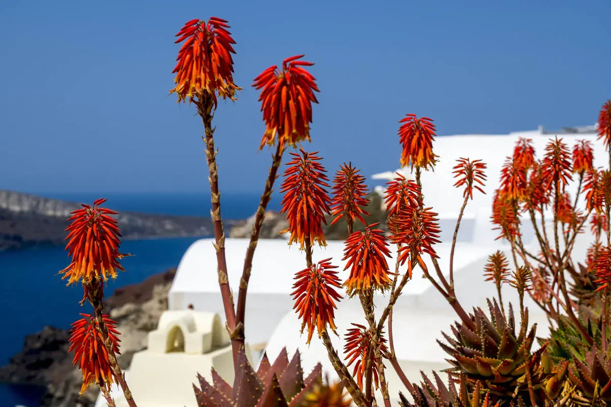 Santorini island, Greece