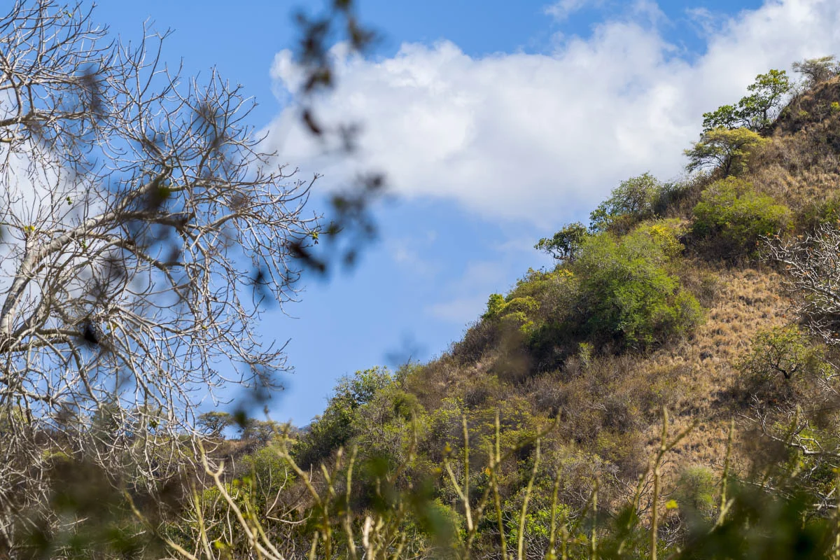 Komodo National Park, Komodo Island, Indonesia