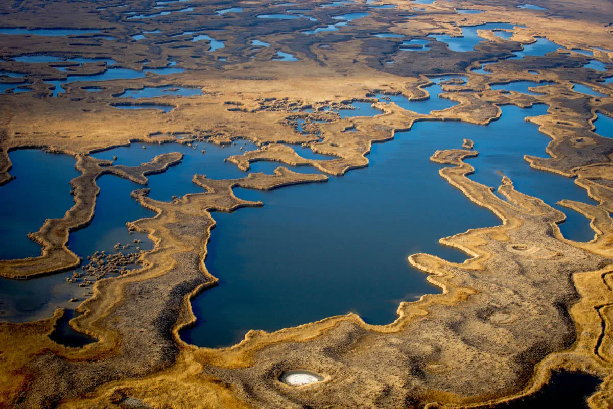 Ili river delta (сhinese: 伊犁河). South-East Kazakhstan