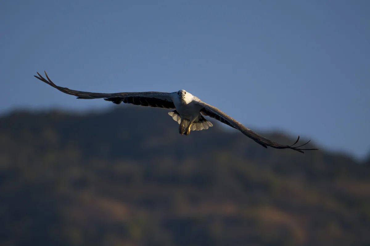 Komodo National Park, Indonesia