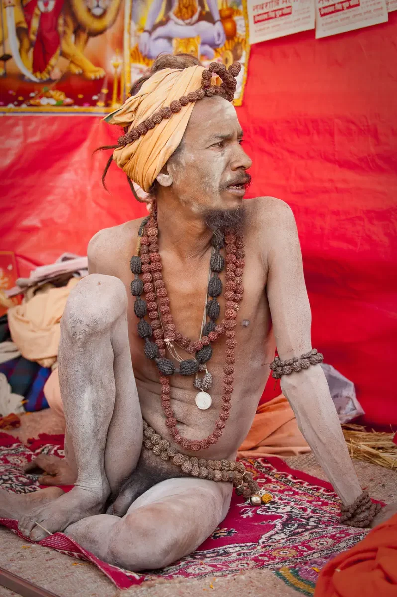 Kumbh Mela-2013 festival, Allahabad, India