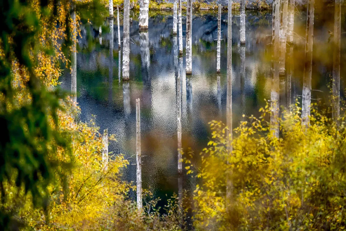 Autumn on Kaindy Lake. Kolsai Lakes National Park. Northern Tien Shan